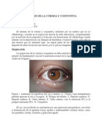 Examen de La Cornea y Conguntiva