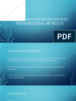 Suprahyoid Muscles and Prevertebral Muscles