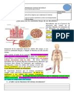 GUÍA Sistema Circulatorio