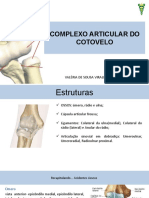 Complexo Articular Do Cotovelo