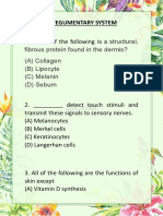 Integumentary System - Watermarked