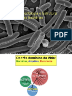 1.2. Morfologia e Estrutura Bacteriana