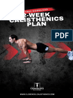 2 Week Calisthenics Plan