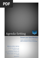 Teorias Da Comunicação - Agenda-Setting