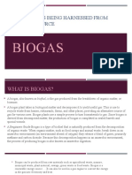 How Energy Is Being Harnessed From Different Source: Biogas