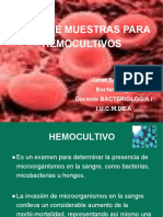 38 TOMA DE MUESTRAS PARA Hemocultivos