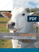 Diagnóstico Da Cadeia Produtiva Da Pecuária de Corte