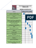 Cronograma de Inducción y Reinducción