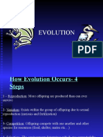 Darwin Evolution