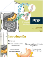 Fisiopatología de La Diabetes Mellitus