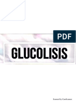 GLUCOLISIS 