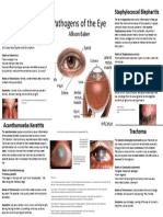 Eye Infections by Allison Baker