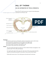 1.wall of Thorax