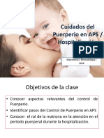 Clase Cuidados Del Puerperio