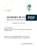 Rapport Du Stage