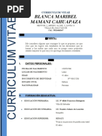 PDF Documento