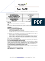 Ficha-CALBASE 2