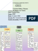 Mapa Conceptual Auditoría Dictamen