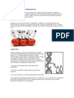 Qué Son Alimentos Transgenicos