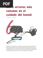 Los 6 Errores Más Comunes en El Cuidado Del Bonsái