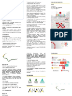 Tríptico Programa Xxii Jornadas Regionales