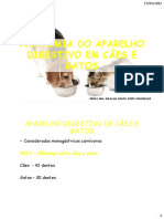 Anatomia Do Aparelho Digestivo em Cães e Gatos