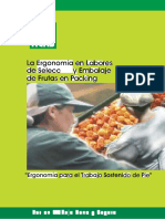 Ergonomia en Labores de Seleccion y Embalaje de Frutas en Packing