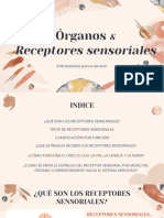 Organos y Receptores Sensoriales