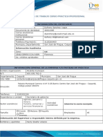 Anexo1-Formato Plan de Trabajo..