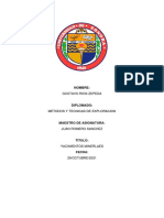 Tarea 3. - Procesos Generadores de Yacimientos