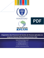 Diagnóstico Dos Processos de Gestão de Pessoas Aplicados Na Empresa Homme Eletro Departamentos Ltda