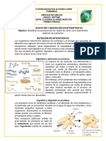 Digestión y Absorción en Moneras y Protistas.