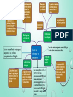 Ciclo Del Nitrogeno en Rumiantes MapMental