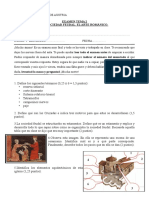 EXAMEN TEMA 2.ESO Sociedad Feudal