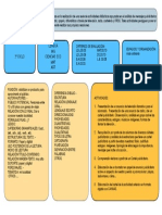 PLC 3º Ciclo