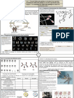 Activités - Chapitre 3 - La Transmission de L'information Génétique Au Cours de La Reproduction Sexuée