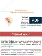 Aula 9 Sistema Límbico e Principios de Neuropsicologia