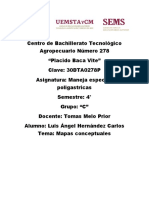 Mapas Conceptuales de Poligastricos