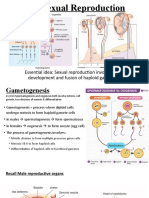 11.4 Sexual Reproduction