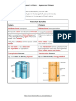 Transport and Transpiration in Plants NOTES