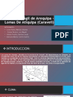 Ecosistema Frágil de Arequipa - Lomas de Atiquipa