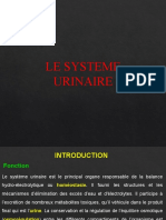 LE SYSTEME URINAIRE Etudiants