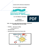 Resumen - Ciclo de Urea