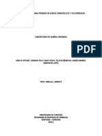 Guia 7 - Algunas Pruebas de Ácidos Carboxilicos y Sus Derivados