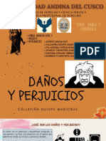 Daños y Perjuicios - Grupo 1° - Derecho Civil