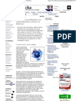 Las 20 Vulnerabilidades de Seguridad Más Críticas en Internet