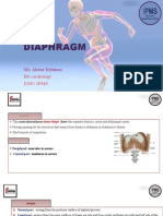 Diaphragm: Mr. Abdur Rehman BS-cardiology Kmu-Ipms