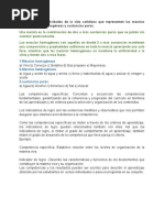 Identifica Cinco Actividades de La Vida Cotidiana Que Representen Las Mezclas Homogéneas y Heterogéneas y Sustancias Puras