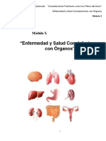 Enfermedad y Salud Constelaciones Con Organos