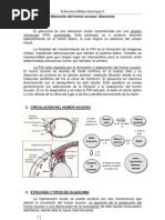 1.4 Grupo7 Glaucoma